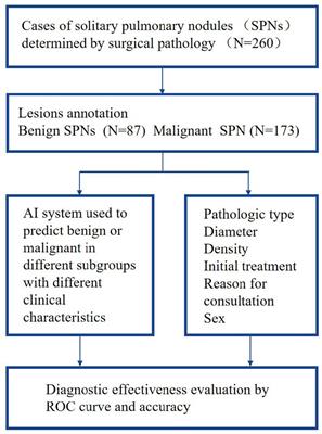 An artificial intelligence-assisted diagnostic system for the prediction of benignity and malignancy of pulmonary nodules and its practical value for patients with different clinical characteristics